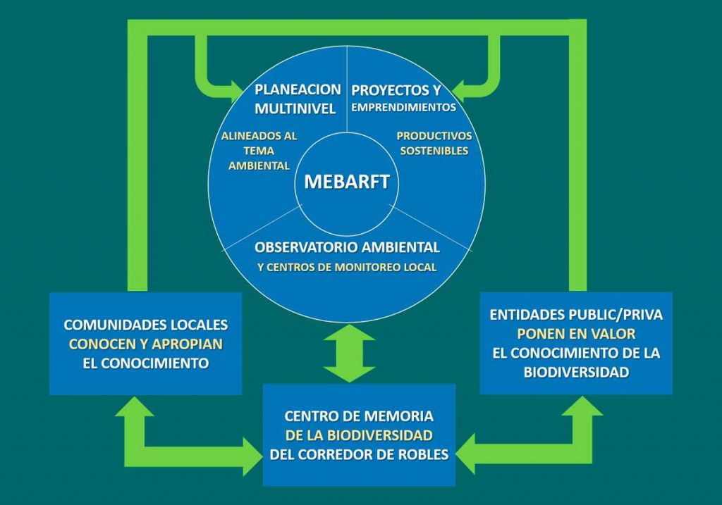 Líneas Estratégicas de la MESA DE BOSQUES ALTOS RÍOS FONCE Y TOLOTÁ - MEBARFT
